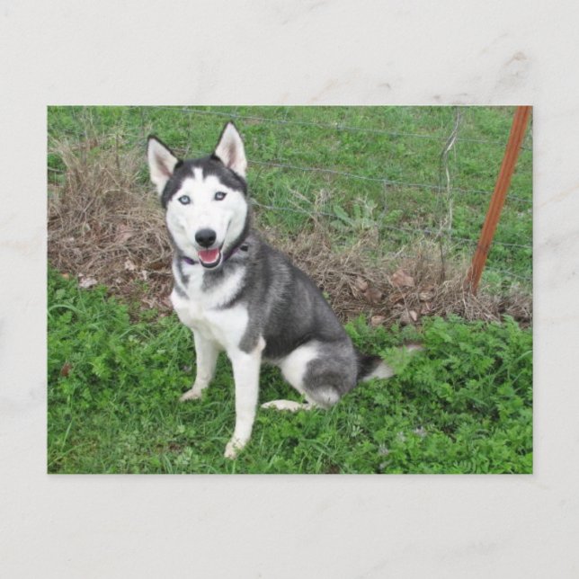 Schick Postkarte (Vorderseite)