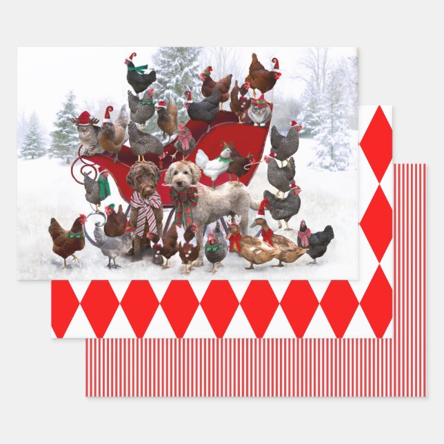 SCHICKEN MIT WEIHNACHTSMANNMÜTZEN- UND HUNDEZAPIER GESCHENKPAPIER SET (Set)
