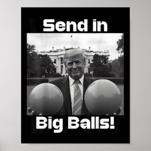 Schicken Sie große , Präsident Trump und Doge Poster