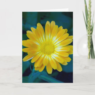 Schicken Sie Ihren Freunden Blume, die dauert Karte