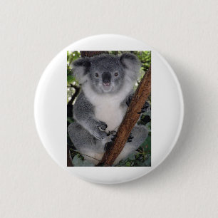 Schicksal Zazzle niedlicher Koala Aussi Outback Button