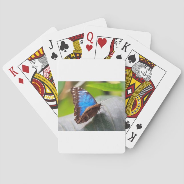 Schicksals-Geschenke Spielkarten (Rückseite)