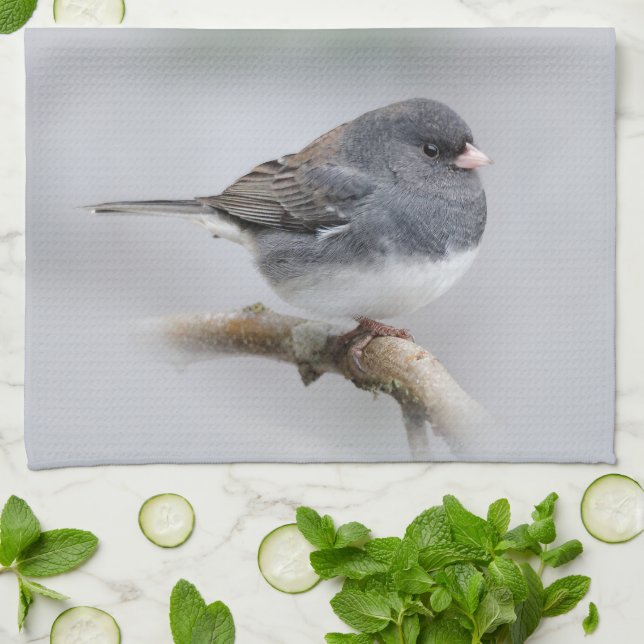 Schieferfarbener, dunkel-Mit Augen Junco auf der B Geschirrtuch (Gefaltet)