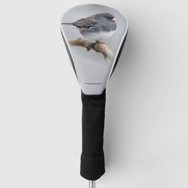 Schieferfarbener, dunkel-Mit Augen Junco auf der B Golf Headcover (Vorderseite)
