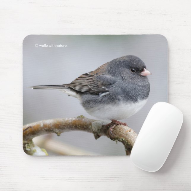 Schieferfarbener, dunkel-Mit Augen Junco auf der B Mousepad (Mit Mouse)