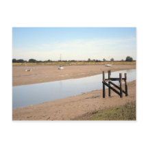 Schiffe auf den Mudflats