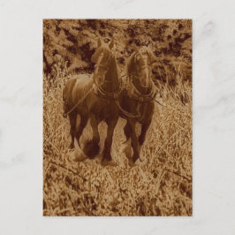 Schiffe bereit zum Pflügen Postkarte