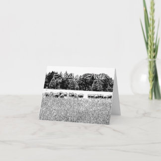 SCHIFFFIELD FOTO ANIMAL NOTE CARD