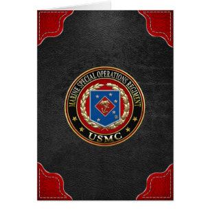 Schiffsspezifische Betriebsvorschriften (MSOR) [3D
