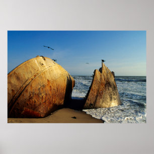 Schiffswrack am Strand, Skeleton Coast, Namibia Poster