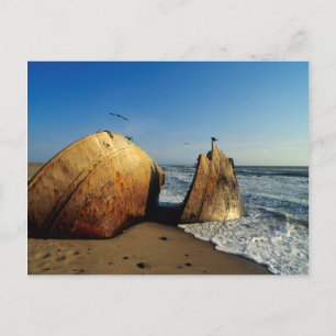 Schiffswrack am Strand, Skeleton Coast, Namibia Postkarte