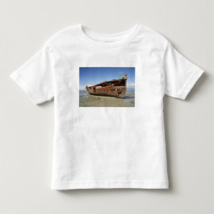 Schiffswrack Janie Seddon, Motueka, Nelson Kleinkind T-shirt