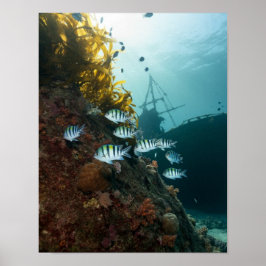 Schiffswrack versteckt hinter einem Riff Poster