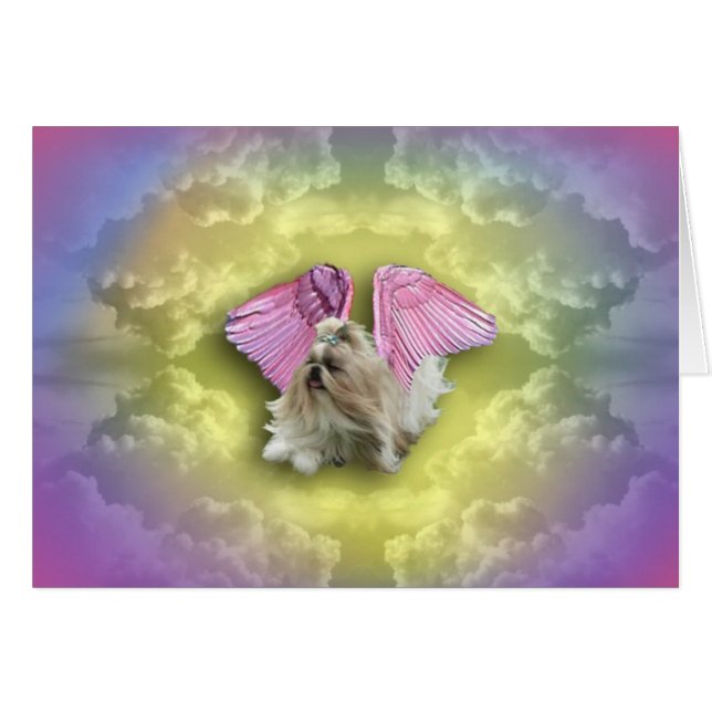 Schihtzugoddess geht vom Himmel ab (Vorderseite (Horizontal))