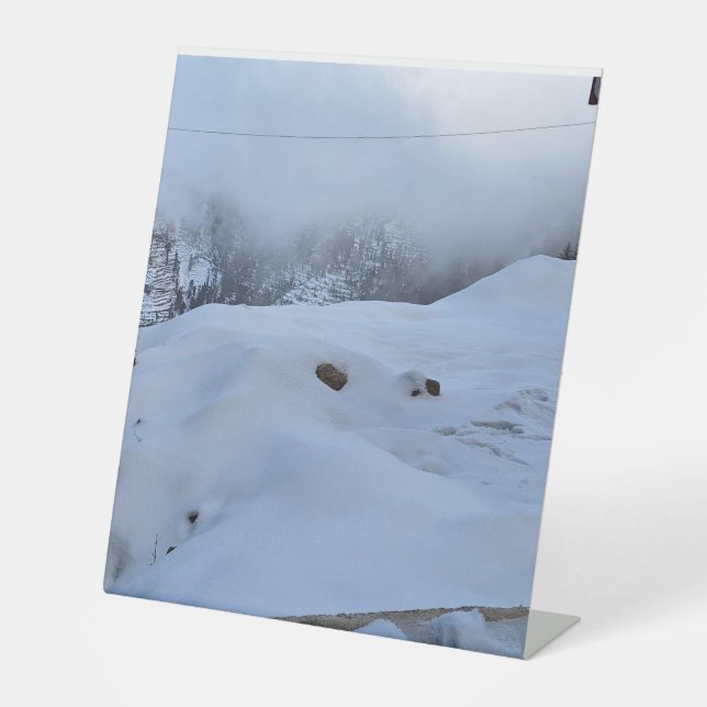 Schild (Vorderseite)