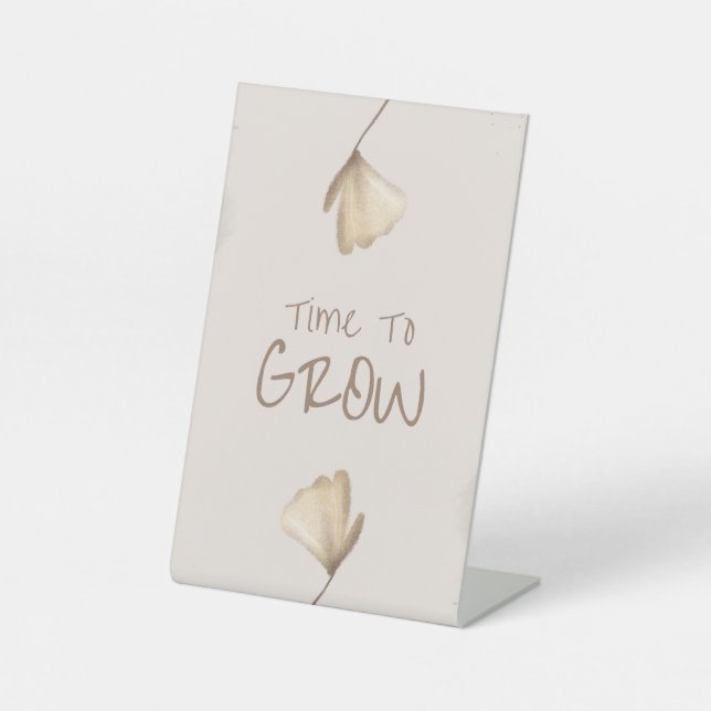 Schild (Vorderseite)