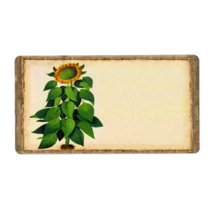 Schilder für Sonnenblumen