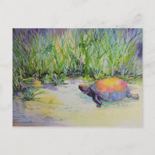 Schildkröte am Strand Postkarte