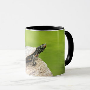 Schildkröte auf einem Stein Tasse