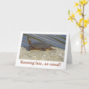SCHILDKRÖTE AUF ROCK/BELATED GEBURTSTAG KARTE