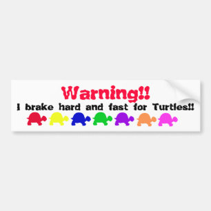 Schildkröte-Autoaufkleber (bunt) Autoaufkleber
