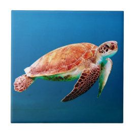 Schildkröte Fliese