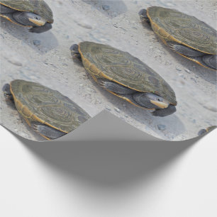 Schildkröte-Foto Geschenkpapier