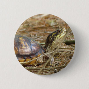 Schildkröte - Hals aus Button