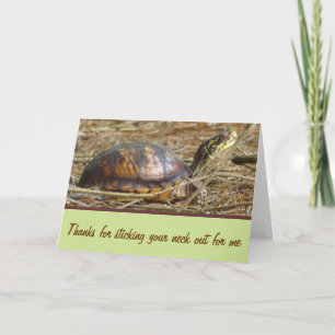 Schildkröte - Hals aus Karte