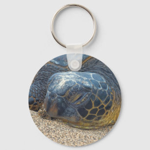 Schildkröte herauf nahes schlüsselanhänger