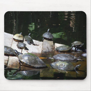 Schildkröte-Himmel Mousepad