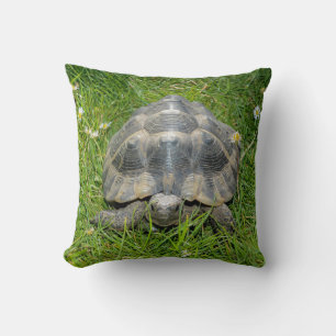 Schildkröte im grünen Gras Kissen