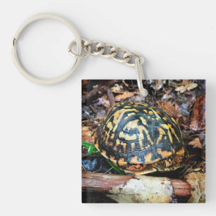 Schildkröte im Wald, Chester, South Carolina Post Schlüsselanhänger