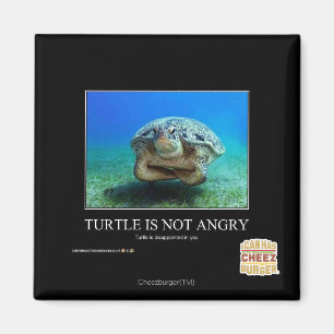 Schildkröte ist nicht wütend magnet