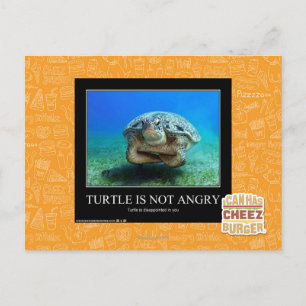 Schildkröte ist nicht wütend postkarte