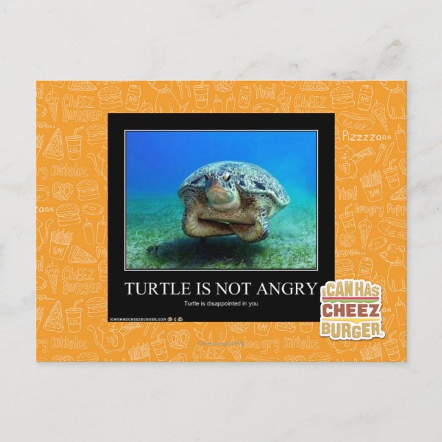 Schildkröte ist nicht wütend postkarte (Vorderseite)