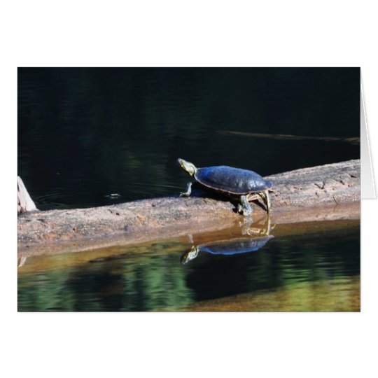 Schildkröte Karte