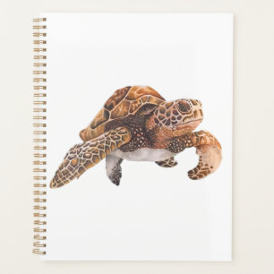 Schildkröte Kopie Kopie Kopie Kopie Kopie Kopie Ko Planer