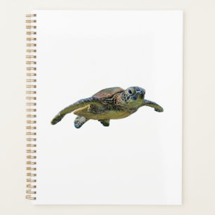 Schildkröte Kopie Kopie Kopie Kopie Kopie Kopie Ko Planer