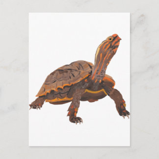 Schildkröte Kopie Kopie Kopie Kopie Kopie Kopie Ko Postkarte