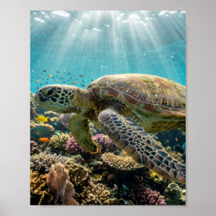 Schildkröte Korallenriff Ozean Matt Wandposter Poster