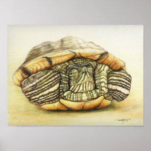 "Schildkröte-" Kunst-Wiedergabe-Druck-Plakat Poster