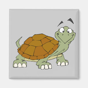 Schildkröte-Magnet Magnet