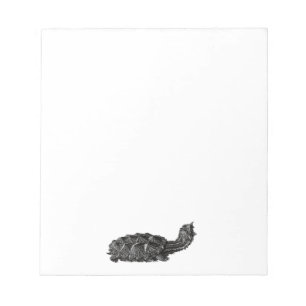 Schildkröte Mata Mata Notizblock