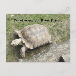 Schildkröte mit Sprichwort Postkarte