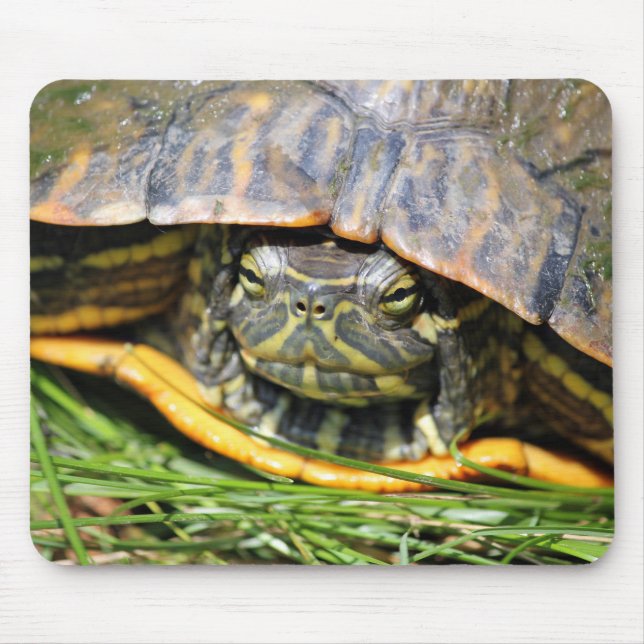 Schildkröte Mousepad (Vorne)