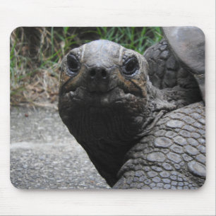 Schildkröte Mousepad
