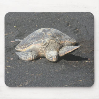 Schildkröte Mousepad