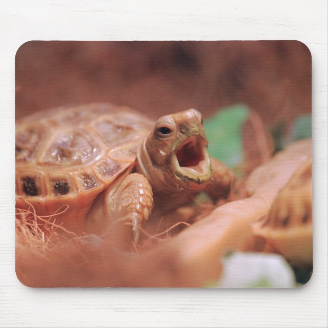 Schildkröte Mousepad (Vorne)