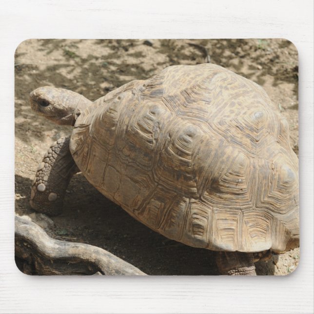 Schildkröte Mousepad (Vorne)